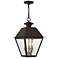 Livex Wentworth 19"H Bronze and Brass Outdoor Hanging Light