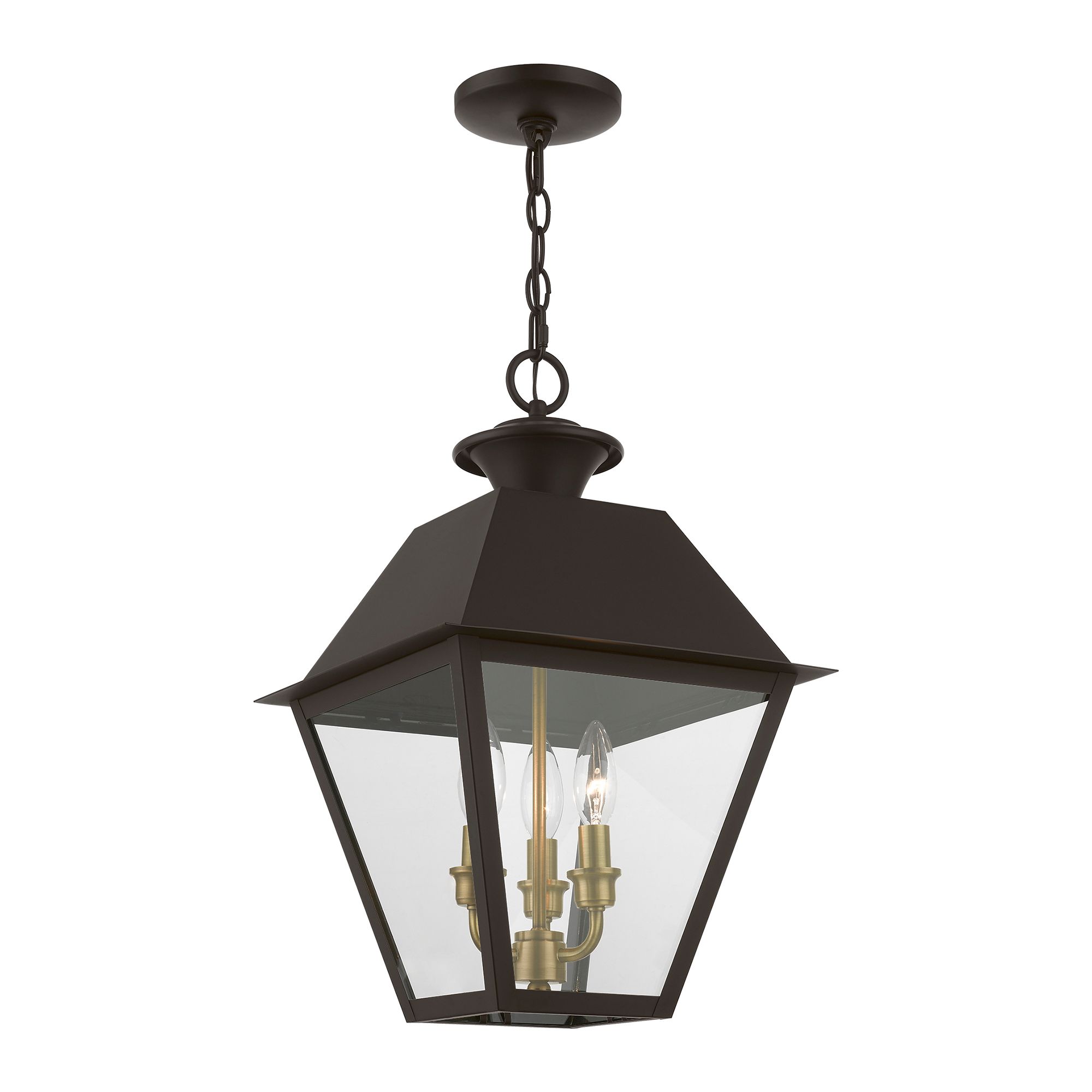 Image 3 Livex Wentworth 19"H Bronze and Brass Outdoor Hanging Light more views