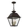 3_Livex Wentworth 19"H Bronze and Brass Outdoor Hanging Light more views