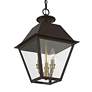 4_Livex Wentworth 19"H Bronze and Brass Outdoor Hanging Light more views