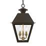 5_Livex Wentworth 19"H Bronze and Brass Outdoor Hanging Light more views