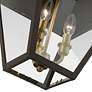 6_Livex Wentworth 19"H Bronze and Brass Outdoor Hanging Light more views
