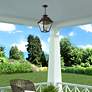 Livex Wentworth 19"H Bronze and Brass Outdoor Hanging Light