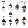 Livex Wentworth 19"H Bronze and Brass Outdoor Hanging Light