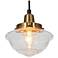 LNC Gnetophyta 6 1/2" Brass Finish Seeded Schoolhouse Glass Pendant