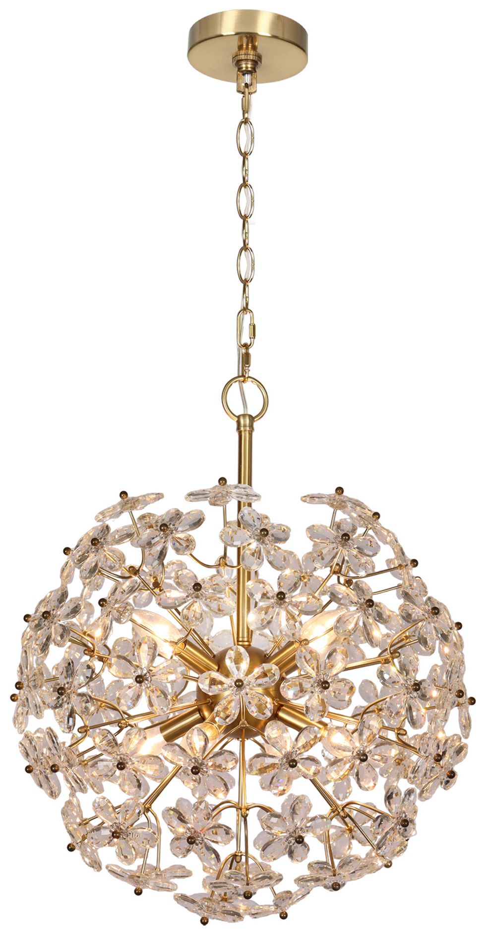 LNC Haloey Collection