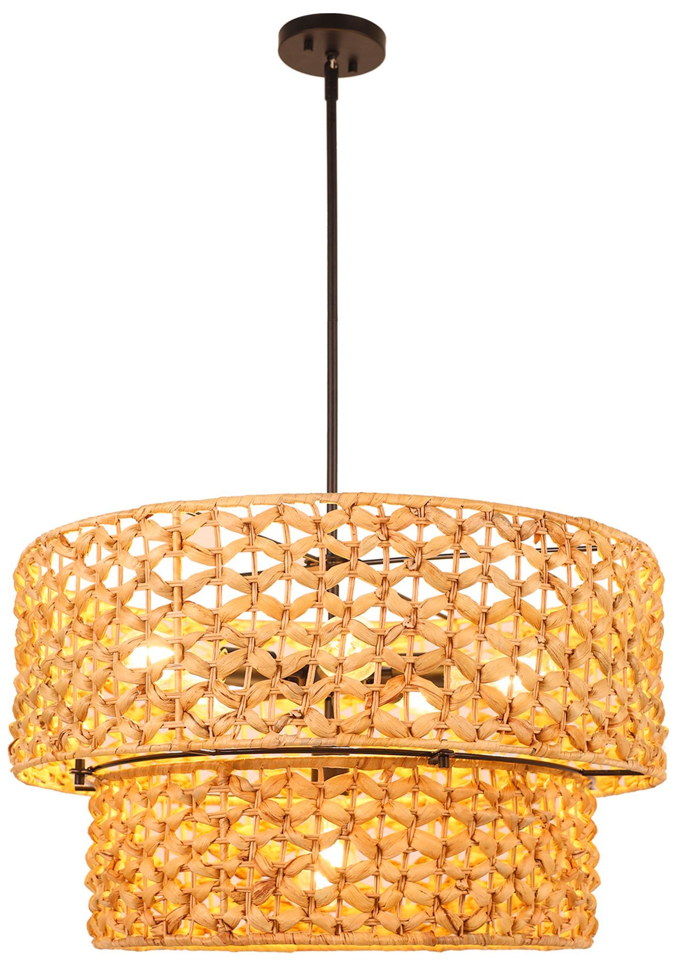 LNC Holophankton Black Collection