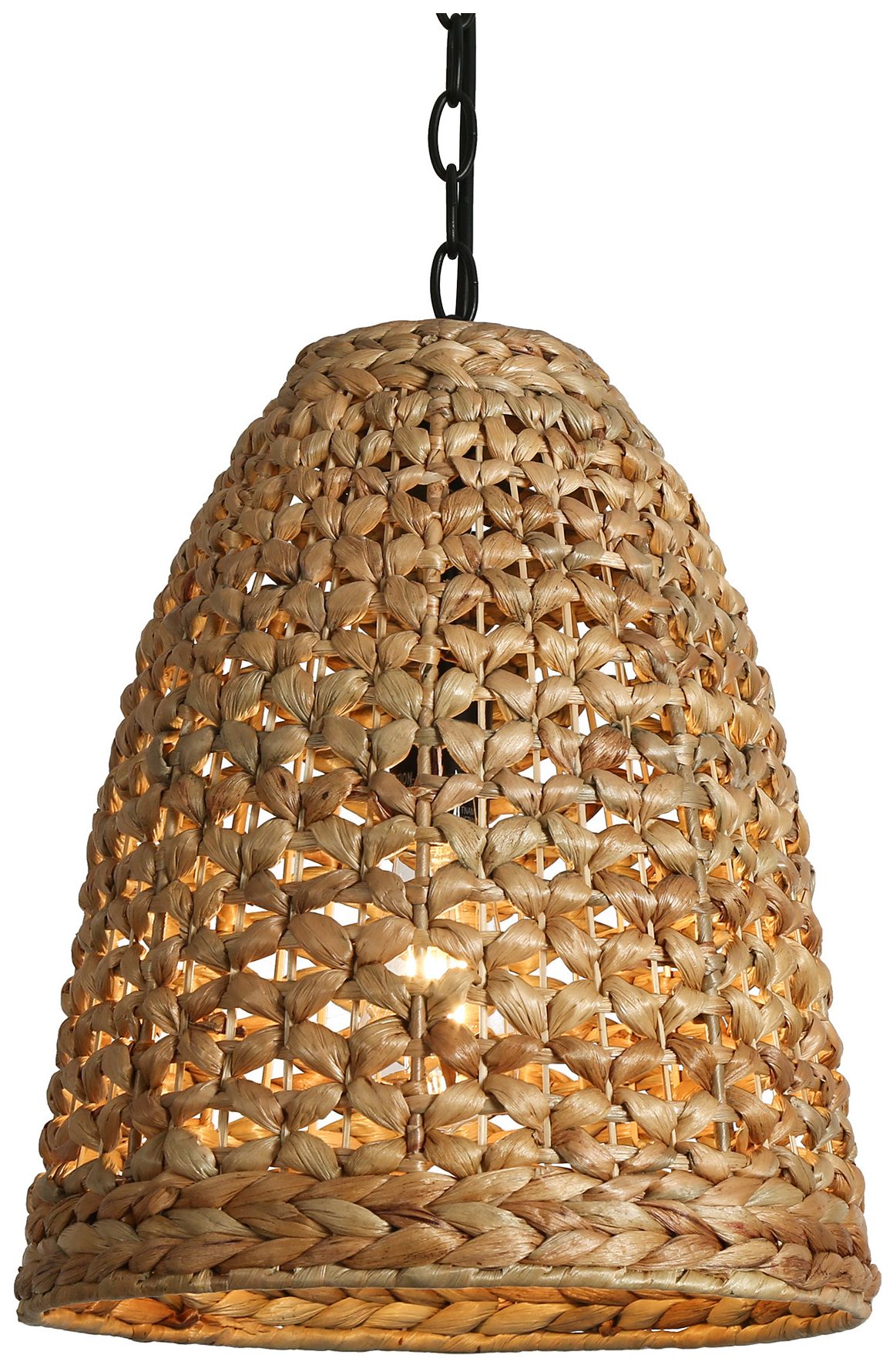 LNC Holophankton Black Collection