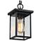 LNC Lighting Uhyta 10 1/2" High Black Glass Outdoor Hanging Light
