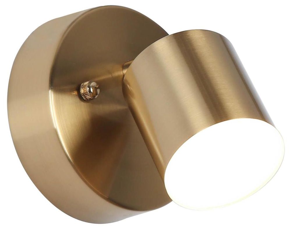 LNC Selaginella Collection