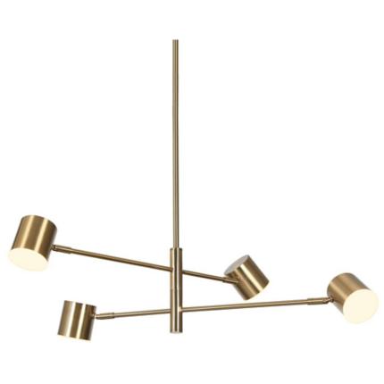 LNC Selaginella Collection