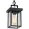 LNC Uhyta 10 1/2" High Black and Glass Outdoor Hanging Light