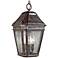 Londontowne 15" High Chestnut Outdoor Hanging Light