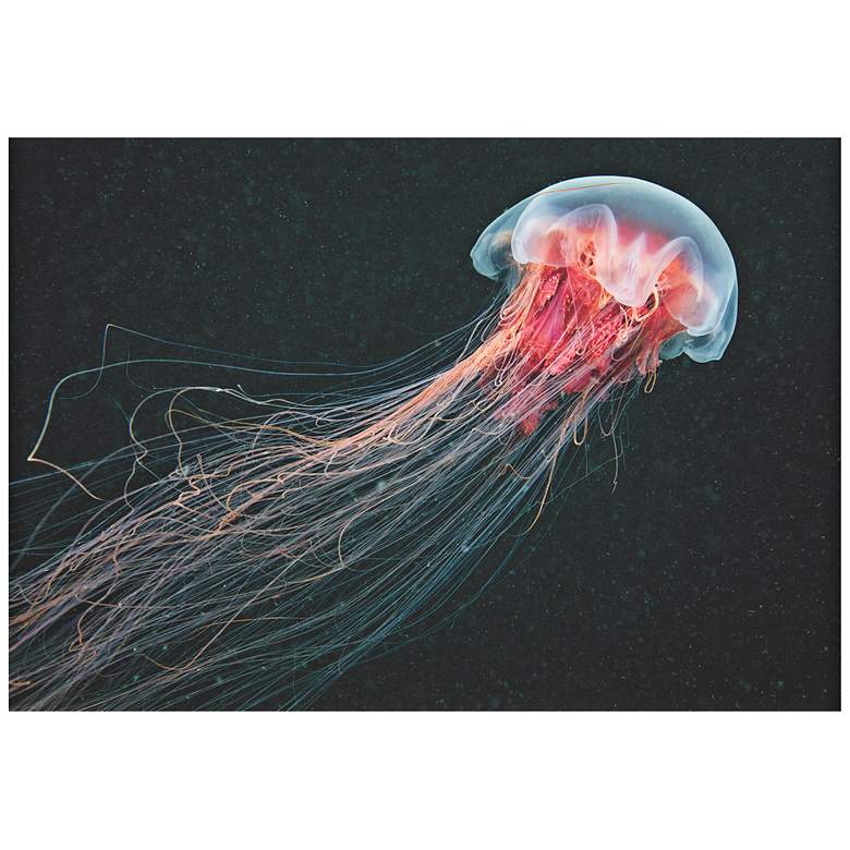 Image 1 Longtail Jellyfish 32 inch Wide Giclee Metal Wall Art