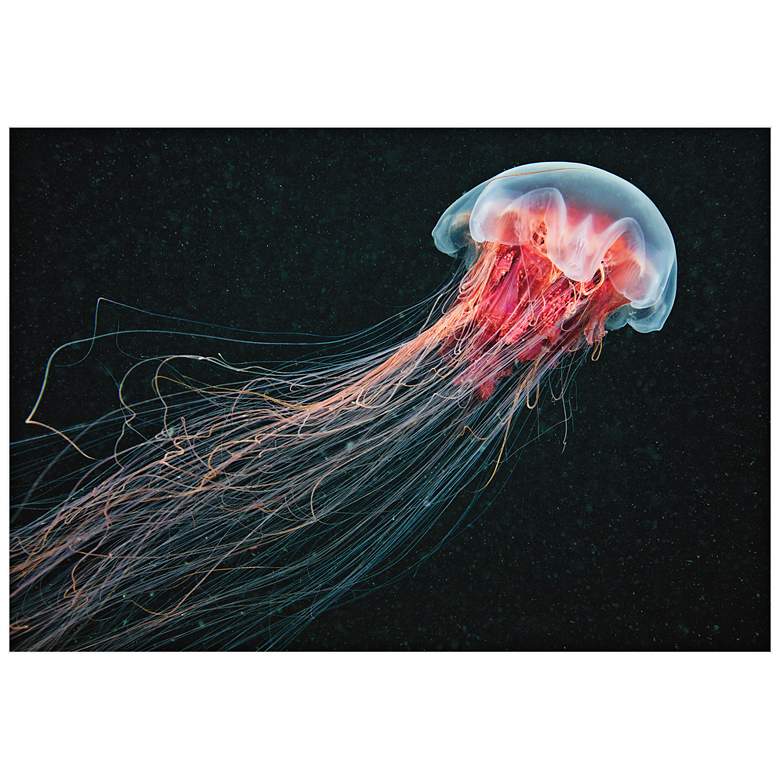 Image 1 Longtail Jellyfish 32" Wide Wall Art Print
