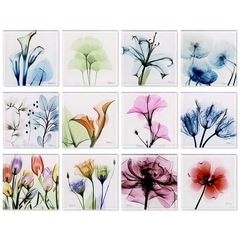 Image 1 Lovely Flowers Glass 12-Piece Coasters with Cork Bottom