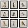 Loyal Companion 9-Piece Framed Wall Art Set