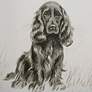 5_Loyal Companion 9-Piece Framed Wall Art Set more views
