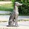 Loyal Greyhound 19" High Garden Statue