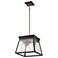 Lucian 12" Wide 4-Light Black Chandelier With Clear Glass Shade