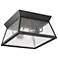 Lucian 13.75" Wide 2.Light Black Outdoor Flush Mount