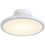 Lucida Collection Integrated LED Flush Mount, White