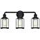 Ludlow 3-Light Earth Black Vanity Light