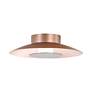 5_Luma LED Flush Mount - 12" in French Gold with Graphite Shade more views