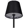 4_Lumea Touch 14.95" High Black LED Accent Lamp more views