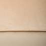 4_LumiSource Tania 30" Wide Modern Champagne Velvet Tufted Accent Chair more views