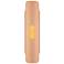 Lupe 23.6" High Rose WEP Light Collection Wall Sconce