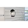 7_Luther 1-Light Earth Black Outdoor Wall Lantern more views