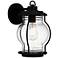 Luther 1-Light Earth Black Outdoor Wall Lantern