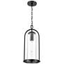 1_Luxio 8.25" Wide 1-Light Outdoor Hanging Lantern in Powder Coated Black