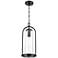 Luxio 8.25" Wide 1-Light Outdoor Hanging Lantern in Powder Coated Black