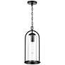 2_Luxio 8.25" Wide 1-Light Outdoor Hanging Lantern in Powder Coated Black more views