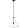 5_Madelynn 16" Wide Matte Black Pendant Light more views