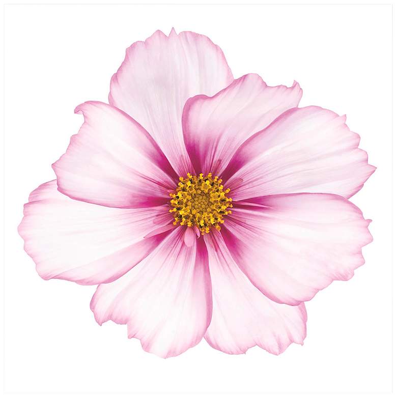 Image 2 Magenta Cosmo on White 43 inch Square Glass Graphic Wall Art