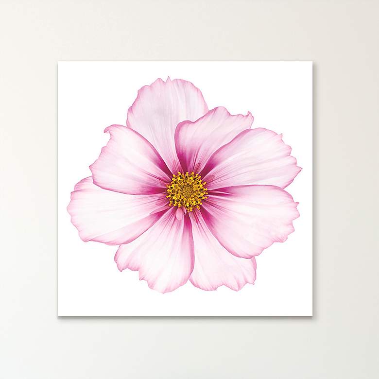 Image 1 Magenta Cosmo on White 43" Square Glass Graphic Wall Art