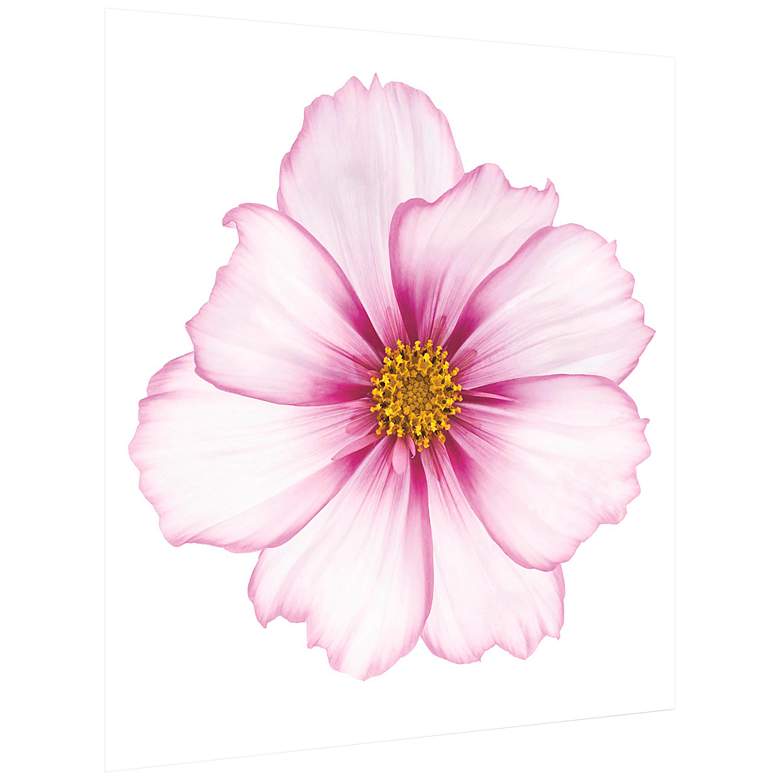 Image 4 Magenta Cosmo on White 43 inch Square Glass Graphic Wall Art more views