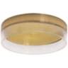 Maggie 11 3/4" Wide Round Satin Brass LED Ceiling Light