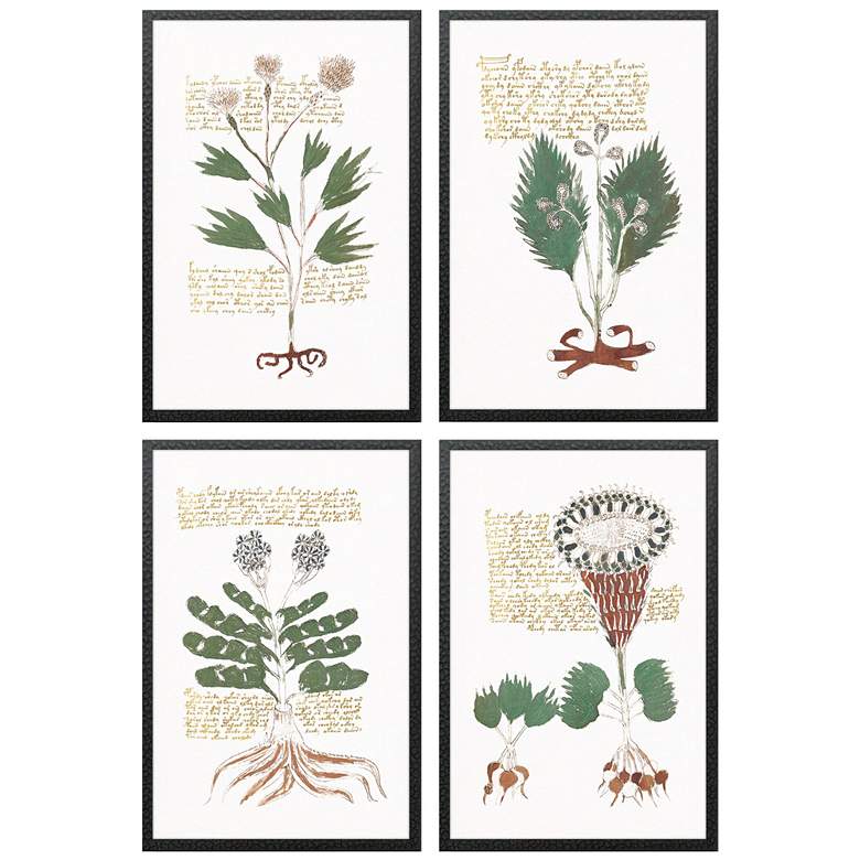 Image 1 Magical Botany 17"W x 25"H Framed Wall Art Set of 4