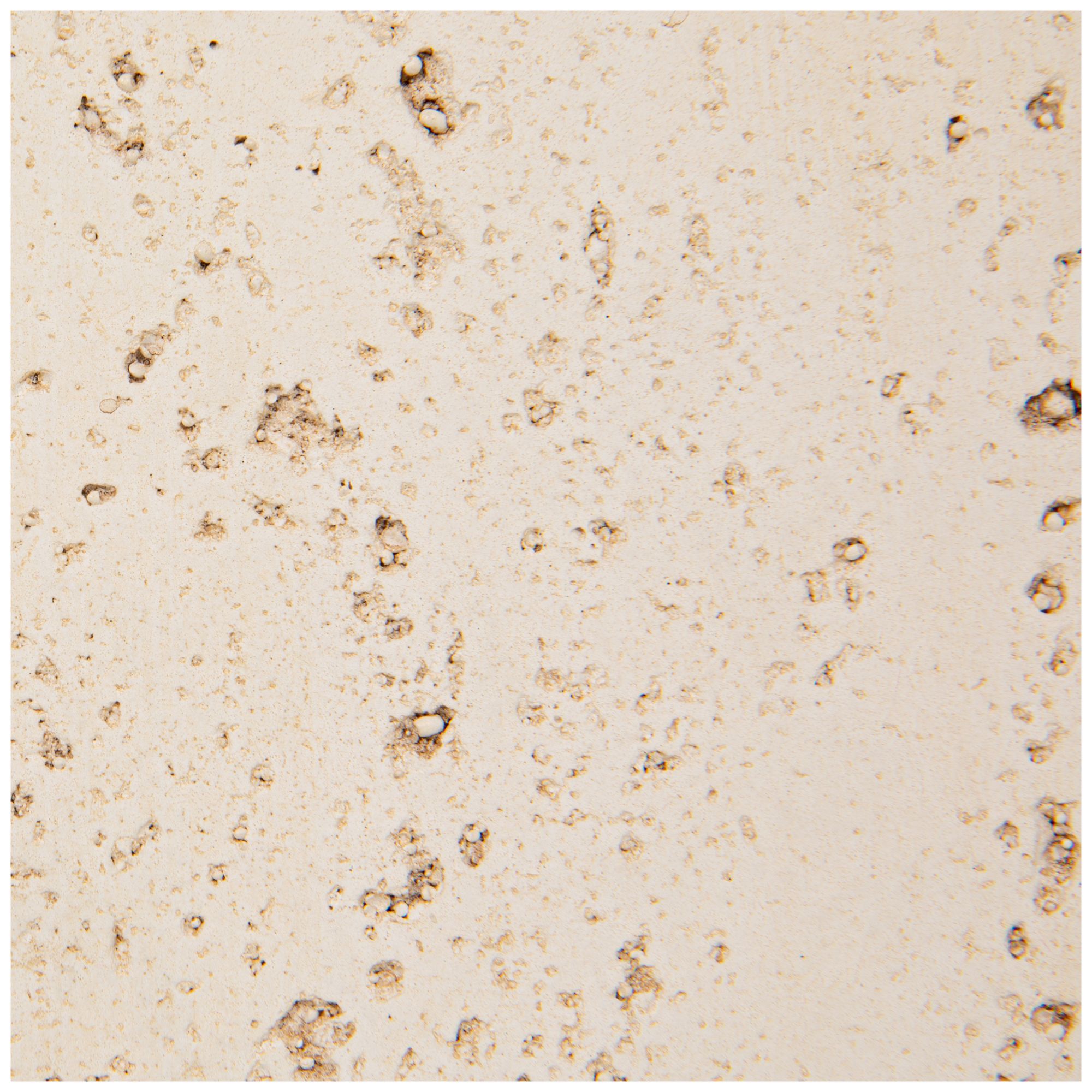 Image 5 Magnesium Oxide Indoor Outdoor Square Side Table more views