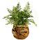 Maiden Hair Fern 24" High Faux Plant in Wooden Root Ball