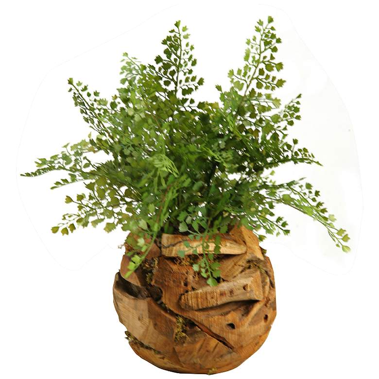 Image 1 Maiden Hair Fern 24 inch High Faux Plant in Wooden Root Ball