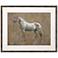 Majestic Horse II 42"W Rectangular Giclee Framed Wall Art