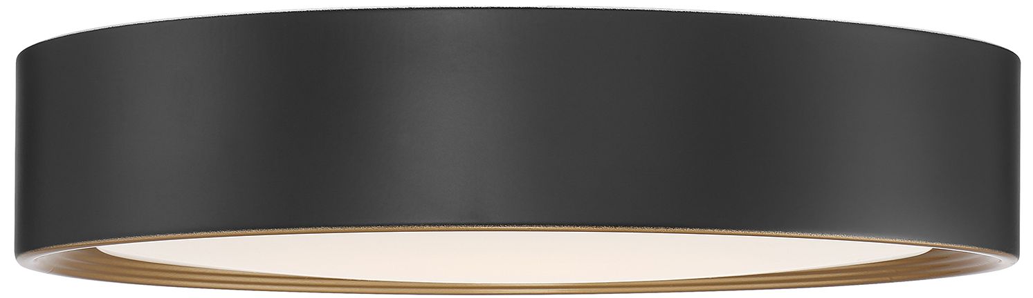 Image 4 Malaga 15 3/4" Wide Matte Black LED Ceiling Light more views