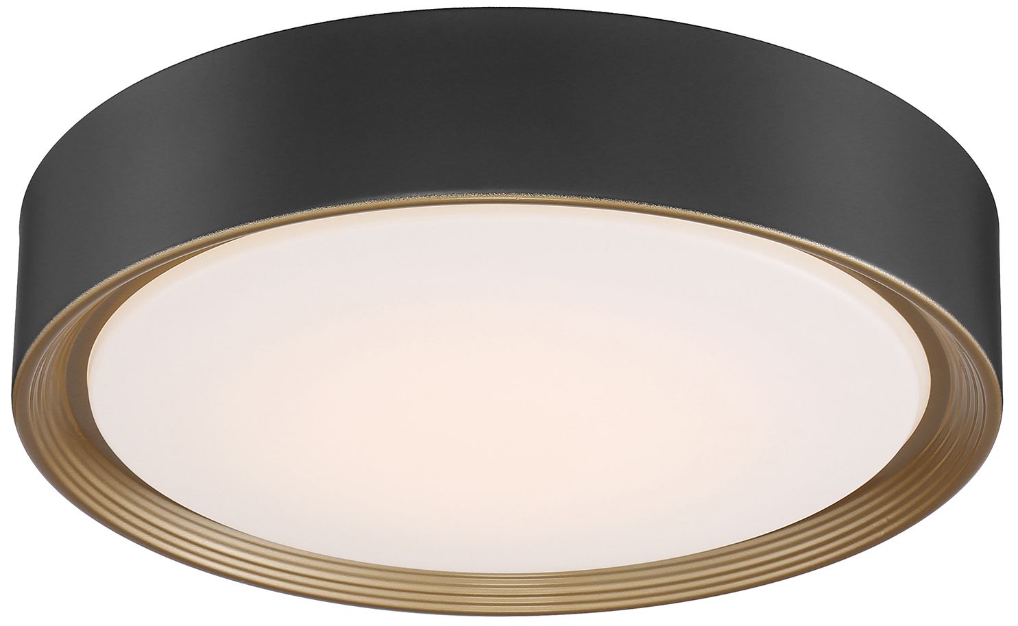 Image 5 Malaga 15 3/4" Wide Matte Black LED Ceiling Light more views