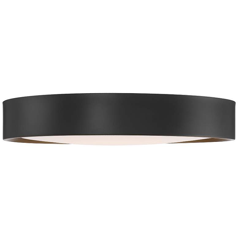 Image 4 Malaga 19 3/4" Wide Matte Black LED Ceiling Light more views
