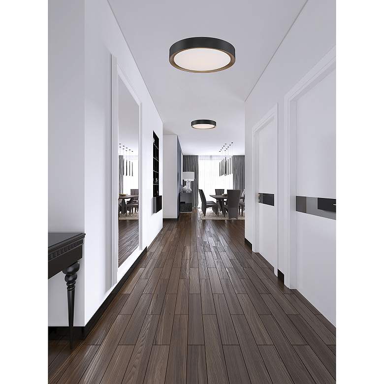 Image 7 Malaga 19 3/4" Wide Matte Black LED Ceiling Light more views